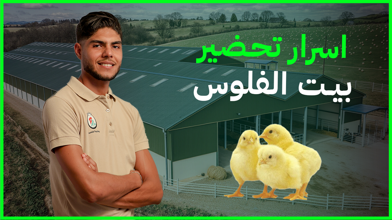 تحضير بيت الفلوس – دليل شامل